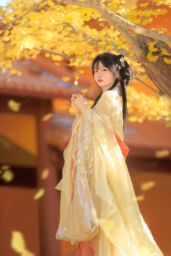 莲花楼 封面